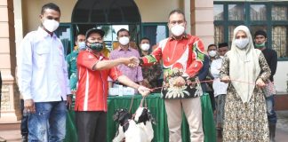 Jalin Kerja Sama, PMI Bireuen Serahkan Bantuan 10 Ekor Kambing Kepada Umuslim