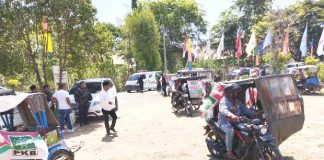 Diiringi Tabuhan Rapa’i, Konvoi Becak Antar Bacaleg PKB Bireuen Mendaftar ke KIP