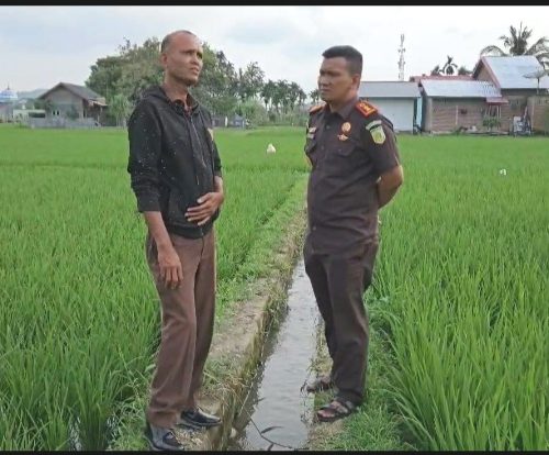 Sisa Uang Pengganti dari Terpidana Muslem Syamaun, Kajari Bireuen: Tunggu Jadwal Pelelangan KPKNL