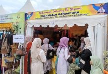 Produk Kerajinan Tangan dan Kuliner Dipamerkan di Pameran Pembangunan dan Expo UMKM HUT Bireuen