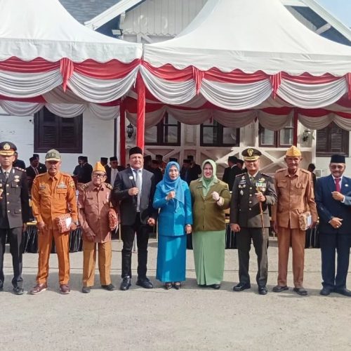 Peringatan Hari Pahlawan di Bireuen, Bupati Serahkan Bingkisan kepada Veteran