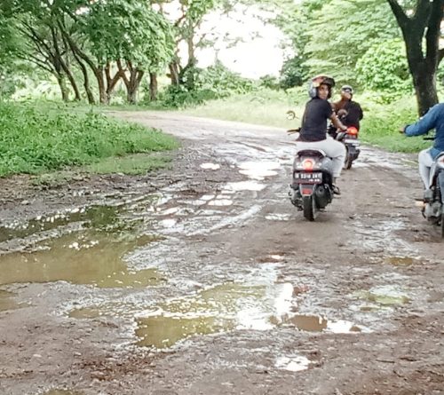Warga Harapkan Pemkab Bireuen Aspal Jalan Akses ke Lapangan Paya Kareung