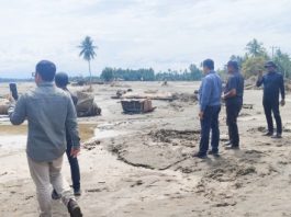 1.091 Hektare Sawah Rusak Berat Belum Direhabilitasi, Kadis Pertanian Bireuen: Masih Menunggu Arahan Pemerintah Pusat