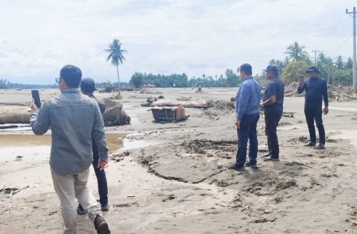 1.091 Hektare Sawah Rusak Berat Belum Direhabilitasi, Kadis Pertanian Bireuen: Masih Menunggu Arahan Pemerintah Pusat