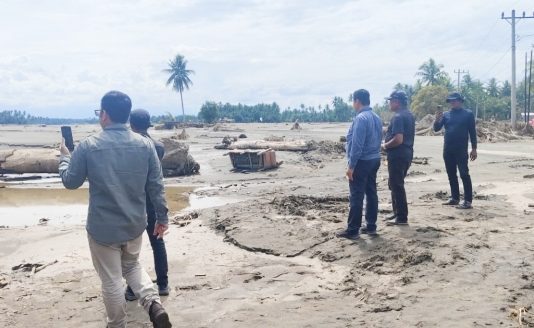 1.091 Hektare Sawah Rusak Berat Belum Direhabilitasi, Kadis Pertanian Bireuen: Masih Menunggu Arahan Pemerintah Pusat