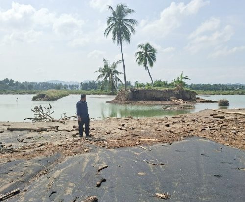 Kadis PKP Bireuen: Tim Provinsi Sedang Verifikasi Ulang Data Nelayan Korban Banjir dan Kerusakan Tambak