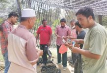 Pulihkan Ketahanan Pangan Masyarakat, Mahasiswa Umuslim Manfaatkan Tanah Sedimen Banjir untuk Budidaya Padi dan Hortikultura dalam Polibag