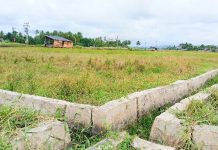 Pemulihan Sawah Tak Kunjung Datang, Petani Pulo Iboih Kehilangan Penghasilan