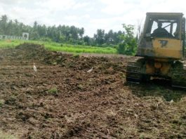 677 Hektare Sawah Rusak Sedang di Bireuen Mulai Direhabilitasi Pascabanjir