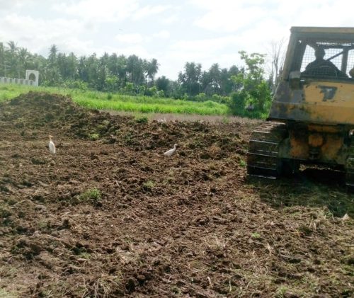 677 Hektare Sawah Rusak Sedang di Bireuen Mulai Direhabilitasi Pascabanjir