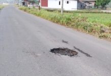 Terperosok dalam Lubang Jalan Leubu-Ulee Gle, Ibu Enpat Anak Warga Tringgadeng Makmur Meninggal Dunia