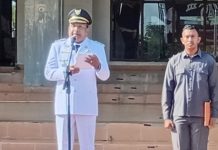 Peringatan Hari Otda ke-30 di Bireuen, Momentum Penegasan Pentingnya Kolaborasi Lintas Pemerintahan