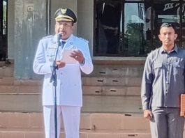 Peringatan Hari Otda ke-30 di Bireuen, Momentum Penegasan Pentingnya Kolaborasi Lintas Pemerintahan