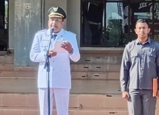 Peringatan Hari Otda ke-30 di Bireuen, Momentum Penegasan Pentingnya Kolaborasi Lintas Pemerintahan