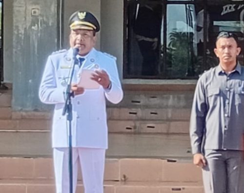 Peringatan Hari Otda ke-30 di Bireuen, Momentum Penegasan Pentingnya Kolaborasi Lintas Pemerintahan