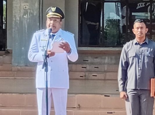 Peringatan Hari Otda ke-30 di Bireuen, Momentum Penegasan Pentingnya Kolaborasi Lintas Pemerintahan