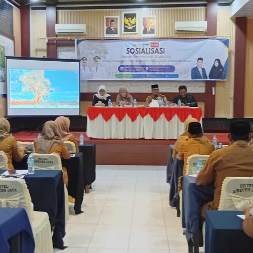 DPMPTSP Bireuen Gelar Sosialisasi Penyelenggaraan Perizinan Berusaha Berbasis Risiko