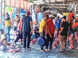 Enam Ekor Sapi Kurban Disembelih Warga Dusun Bireuen Timu dan Dusun Bakti