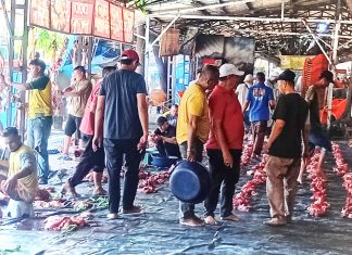 Enam Ekor Sapi Kurban Disembelih Warga Dusun Bireuen Timu dan Dusun Bakti