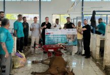 Salurkan Ratusan Paket Kurban dan Santunan Yatim, Bupati Bireuen Apresiasi Lembaga Internasional Hasene Jerman