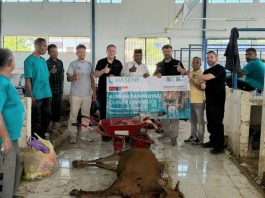 Salurkan Ratusan Paket Kurban dan Santunan Yatim, Bupati Bireuen Apresiasi Lembaga Internasional Hasene Jerman