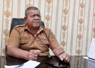 Lima Jabatan Tinggi Pratama dan 15 Administrator di Pemkab Bireuen Kosong, Ini Penyebabnya