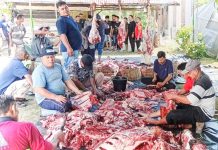 Warga Dusun Kommes Sembelih 22 Hewan Kurban, Tiga Ekor Sapi Berasal dari Lembaga Amal Turki