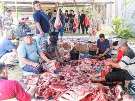 Warga Dusun Kommes Sembelih 22 Hewan Kurban, Tiga Ekor Sapi Berasal dari Lembaga Amal Turki