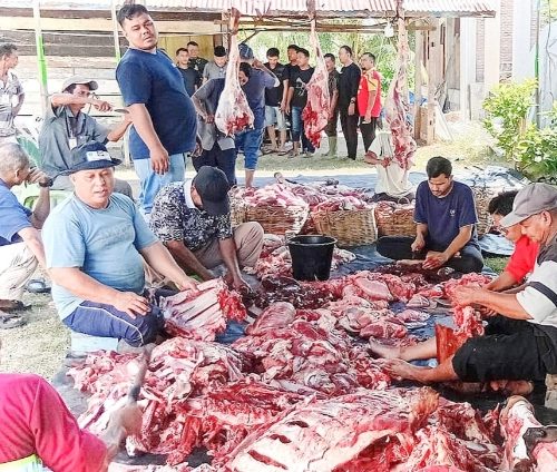 Warga Dusun Kommes Sembelih 22 Hewan Kurban, Tiga Sapi Bantuan Turki Disalurkan untuk Masyarakat