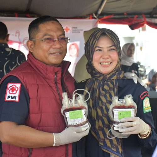 Turut Diikuti Wartawan, Aksi Sosial PMI Bireuen dalam Rangka Hari Donor Darah Sedunia Terkumpul 115 Kantong