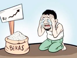 Fluktuasi Harga Pangan Pokok di Indonesia dan Dampaknya terhadap Petani Kecil