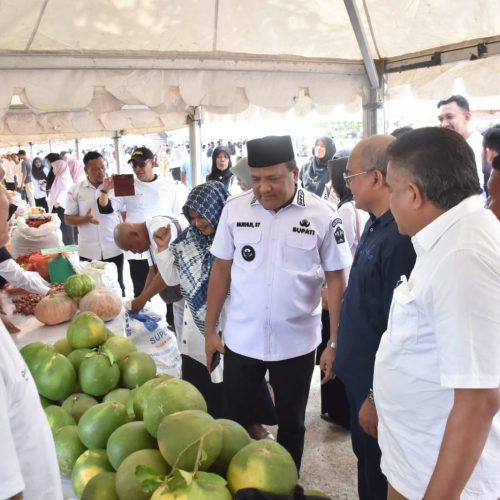 Roadshow Pasar Tani Aceh 2026, Bupati Bireuen: Ruang Promosi dan Pemasaran Produk Pertanian