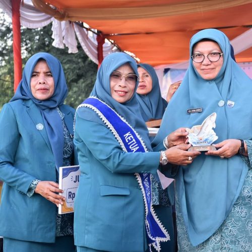 TP-PKK Kecamatan Peudada Juara Lomba Masak Serba Ikan Tingkat Kabupaten Bireuen