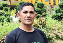 Sawah Dilanda Kekeringan, KTNA Peudada: Pemerintah Terus Hadir untuk Petani