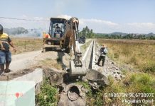 Rehabilitasi Sawah Rusak Sedang dan Ringan di Bireuen Rampung