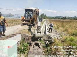 Rehabilitasi Sawah Rusak Sedang dan Ringan di Bireuen Rampung