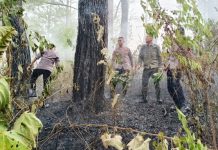Quick Response Brimob Polda Aceh Tangani Kebakaran Hutan di Lembah Seulawah