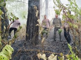 Quick Response Brimob Polda Aceh Tangani Kebakaran Hutan di Lembah Seulawah