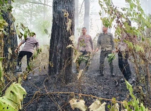 Quick Response Brimob Polda Aceh Tangani Kebakaran Hutan di Lembah Seulawah