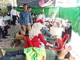 Aksi Kemanusiaan Peringati HUT ke-53, Bank Aceh Syariah Cabang Bireuen Kumpulkan 162 Kantong Darah