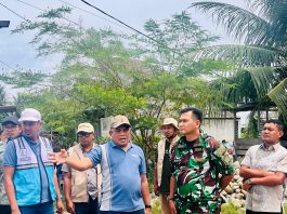 Kadistanbun Bireuen Terima Kunjungan Pangkogabwilhan I Letjen Kunto Arief Wibowo, Tinjau Lahan Sawah Bencana