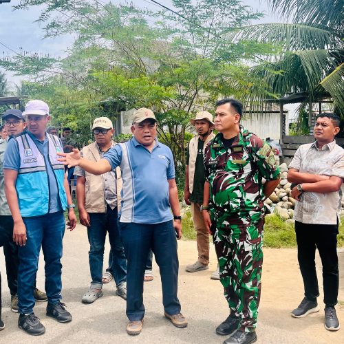 Kadistanbun Bireuen Terima Kunjungan Pangkogabwilhan I Letjen Kunto Arief Wibowo, Tinjau Lahan Sawah Bencana