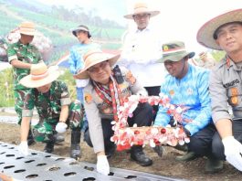 Dukung Swasembada Pangan, Kapolda Tanam Bawang Putih di Aceh Tengah