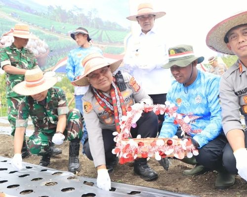 Dukung Swasembada Pangan, Kapolda Tanam Bawang Putih di Aceh Tengah