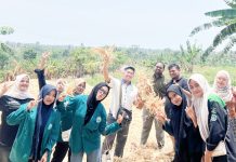 Dosen dan Mahasiswa Faperta UNIKI Latih Peternak Manfaatkan Limbah Pertanian sebagai Pakan Alternatif
