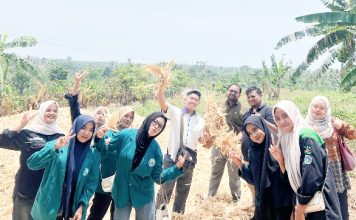 Dosen dan Mahasiswa Faperta UNIKI Latih Peternak Manfaatkan Limbah Pertanian sebagai Pakan Alternatif