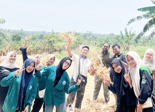Dosen dan Mahasiswa Faperta UNIKI Latih Peternak Manfaatkan Limbah Pertanian sebagai Pakan Alternatif