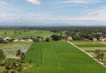 Satgas PRR Siapkan Pola Pemulihan Sawah Rusak Berat di Wilayah Terdampak Bencana