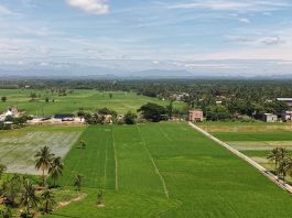 Satgas PRR Siapkan Pola Pemulihan Sawah Rusak Berat di Wilayah Terdampak Bencana