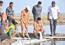 Hadiri Penebaran Benih Udang Vaname di Ulee Ceue, Bupati Bireuen Apresiasi KKP Pulihkan 60 Hektare Tambak Terdampak Banjir